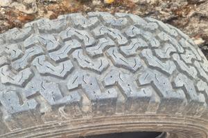 Gomme Zoarelli Mud Terrain 