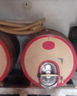 Botti in cemento vetrificate 