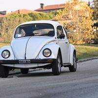 Maggiolino messicano iscritta asi