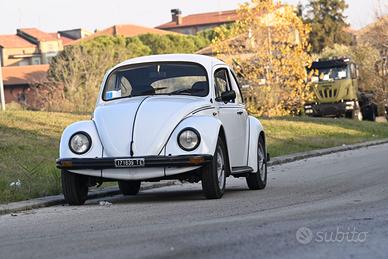 Maggiolino messicano iscritta asi