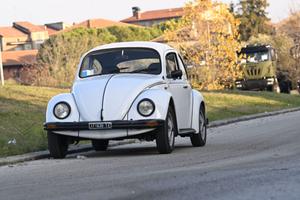 Maggiolino messicano iscritta asi