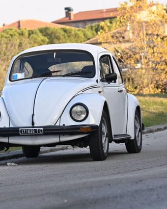 Maggiolino iscritta asi