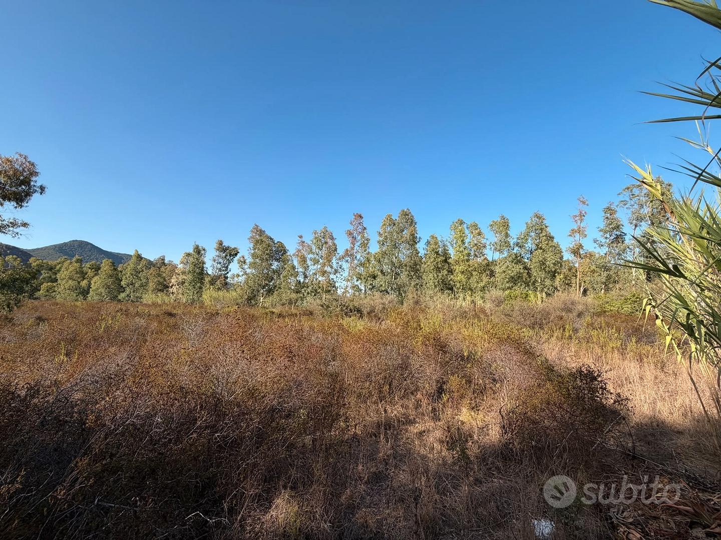 Terreno agricolo di 8.446 mq - Vista 4