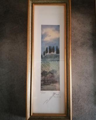 Quadro Acquerello Originale Dr. Khosrow Salehi Chi