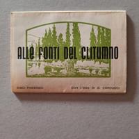 fonti del clitunno  (antiche immagini) rara collei