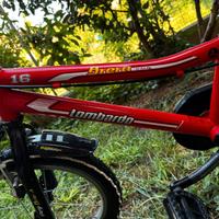 MTB Lombardo Bambino Tg.17