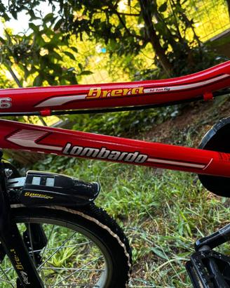MTB Lombardo Bambino Tg.17
