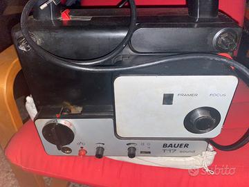 Gabbietta x uccellini