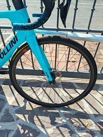 Cipollini Ad.One