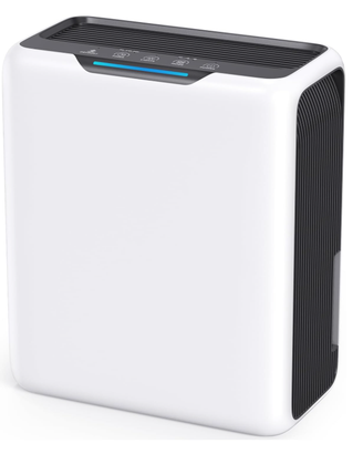 Deumidificatore 3L, Deumidificatore Casa per 20㎡,