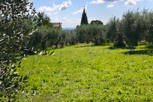 Terreno edificabile tra Velletri e Lariano