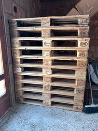 N. 10 Pallet epal