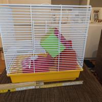 gabbia con accessori 34x35x22