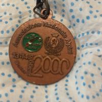 Medaglia della 73ª Adunata Nazionale degli alpini
