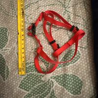 Pettorina ad H per cani piccola taglia