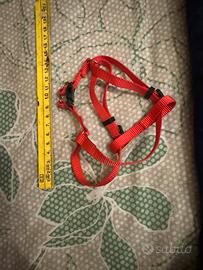 Pettorina ad H per cani piccola taglia