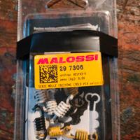 molle malossi piaggio ciao, si,bravo,grillo,boxer