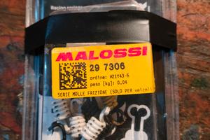 molle malossi piaggio ciao, si,bravo,grillo,boxer