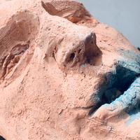 Scultura polimorfa in argilla