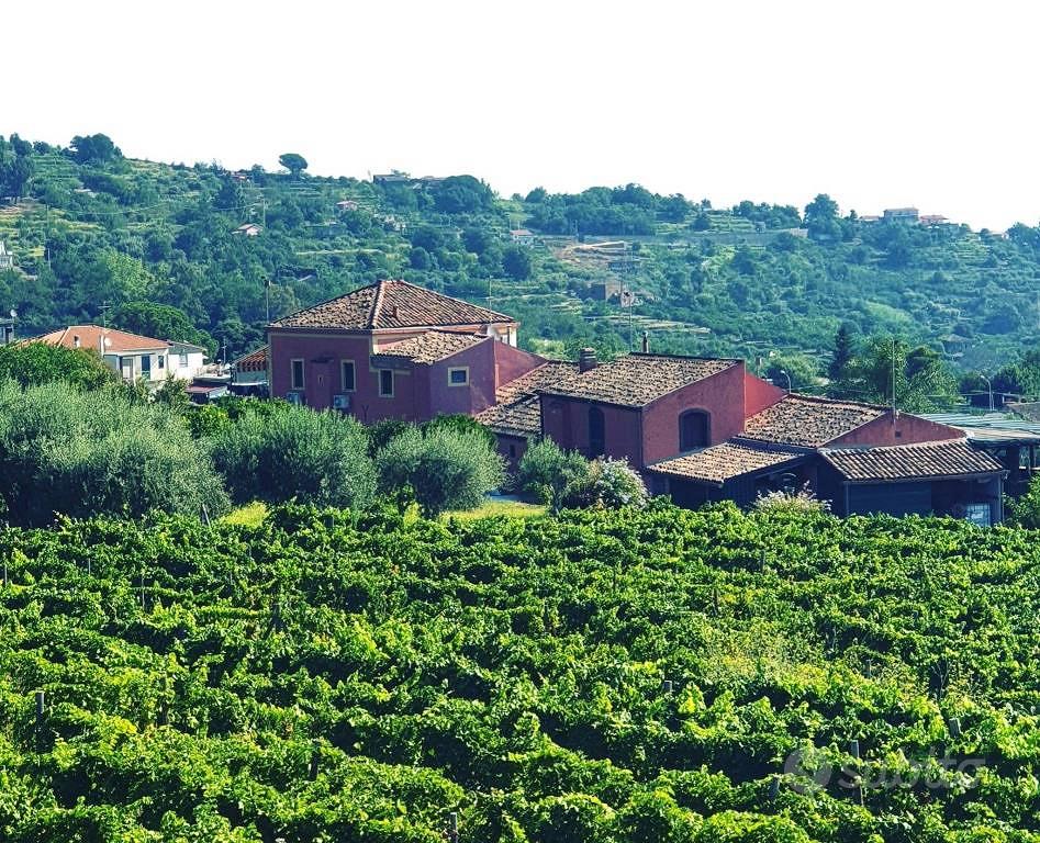 Rustico / Casale di 550 m² con più di 5 locali e b - Vista 2