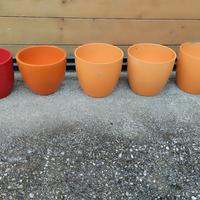 Vasi colorati per fiori 