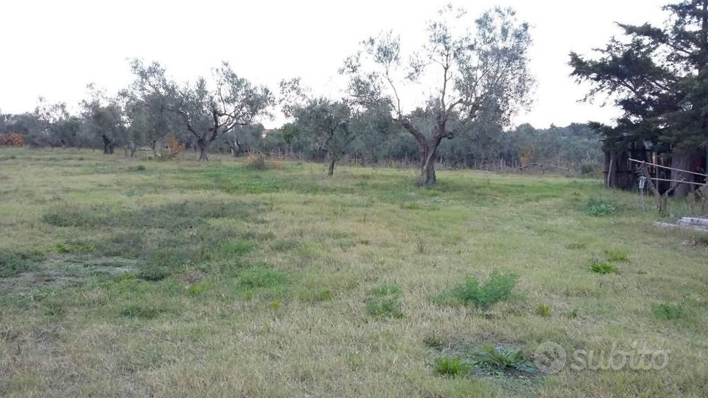 Terreno di 65 m² a Tuscania - Vista 3