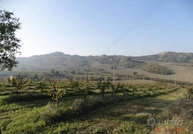 Immobile in asta di 130160 m² a Imola