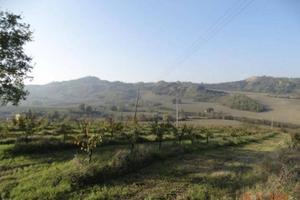 Immobile in asta di 130160 m² a Imola
