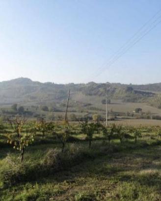 Immobile in asta di 130160 m² a Imola