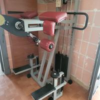 gluteus machine technogym 