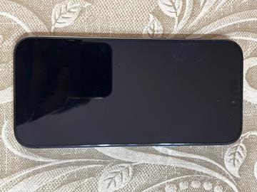 iPhone 17 Pro Max da 256 GB colorazione blu