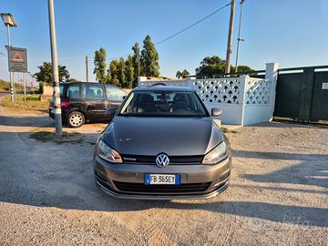 Volkswagen Gol 1.4 TGI Executive BlueMotion
