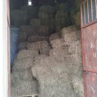 Fieno primo taglio in ballottini 2025