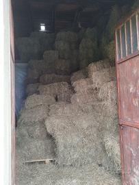 Fieno primo taglio in ballottini 2025