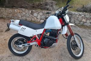Suzuki DR 650