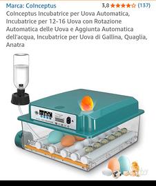 Incubatrice per uova