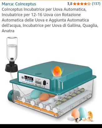Incubatrice per uova