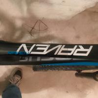 MTB Focus