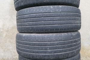 Gomme 195 55 16 estive