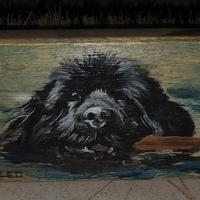 Cane di Terranova / Newfoundland dipinto a mano