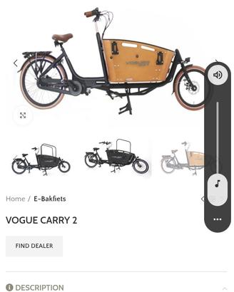 Cargo bike Vogue carry 2 