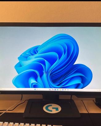 Monitor benq zowie XL 144 hz Perfetto!