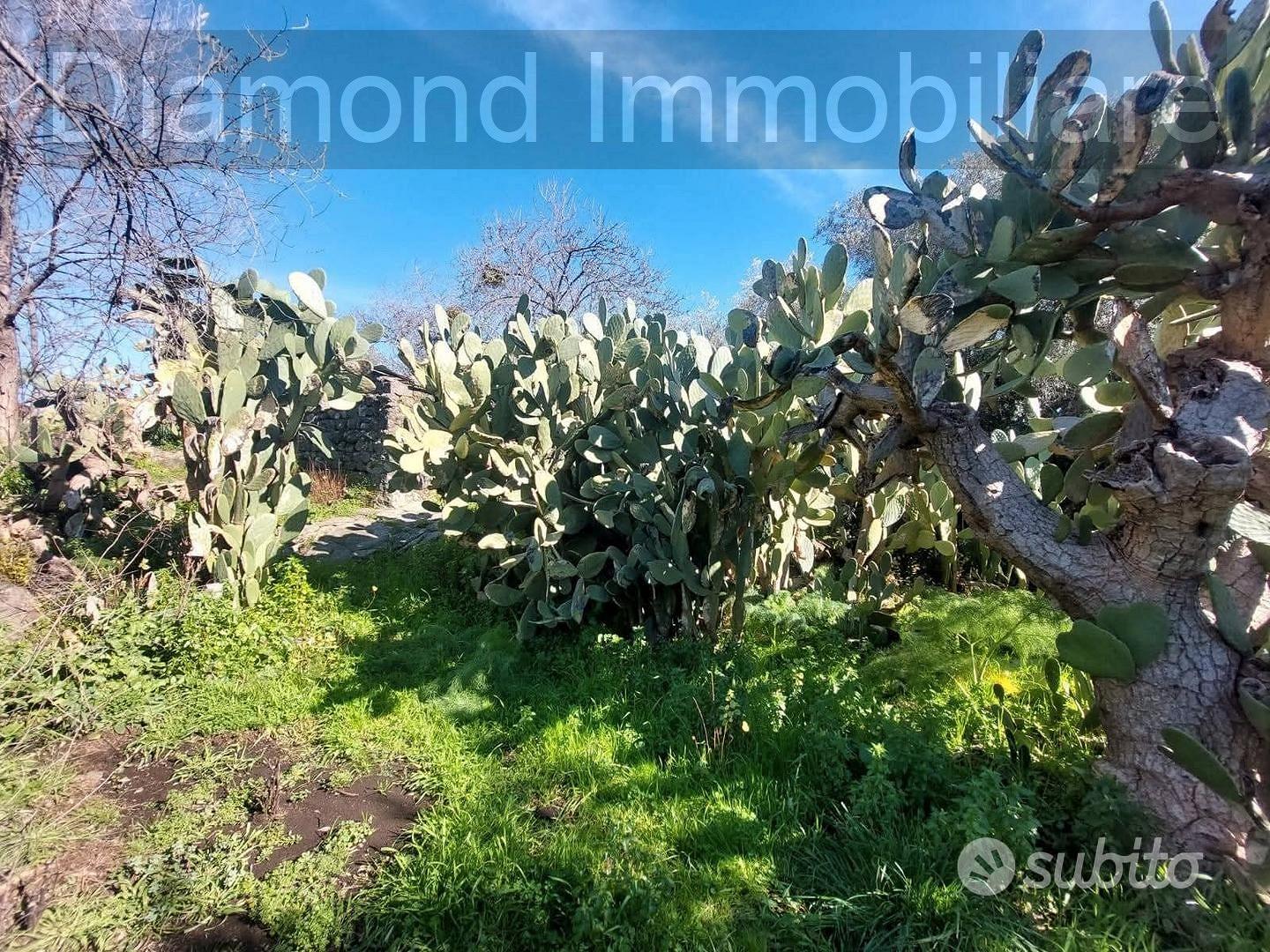 Casa di campagna con terreno a Verzella - Vista 3
