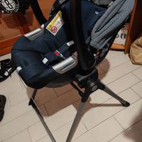 Ovetto Inglesina electa