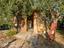 Immagine 27