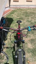 specialized evo expert 2011