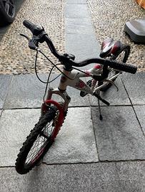 Bicicletta