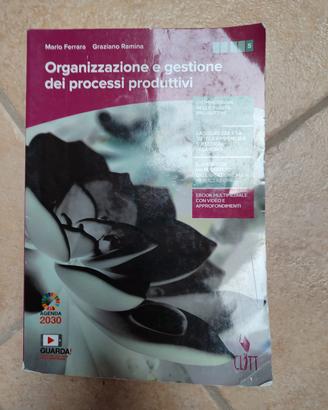 9788808720634 org. e gestione processi produttivi