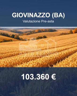 Immobile in asta di 9909 m² a Giovinazzo