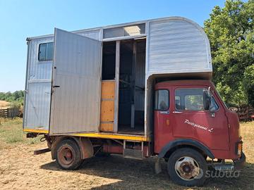 Camion trasporto animali